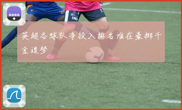 英超各球队净投入排名谁在豪掷千金追梦