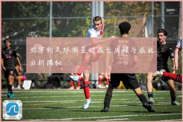 刘宇钊足球明星的成长历程与成就分析揭秘