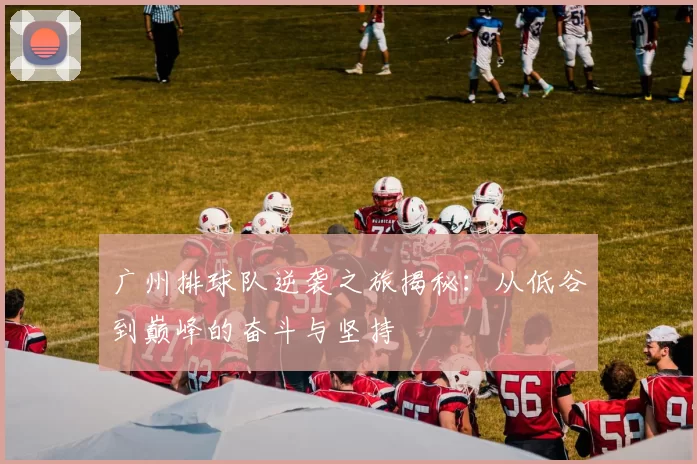广州排球队逆袭之旅揭秘：从低谷到巅峰的奋斗与坚持