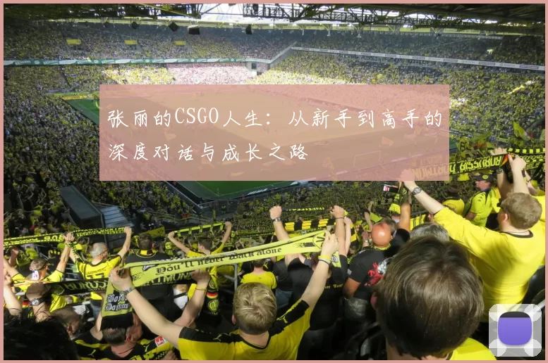张丽的CSGO人生：从新手到高手的深度对话与成长之路