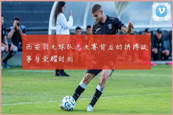 西安羽毛球队总决赛背后的拼搏故事与荣耀时刻