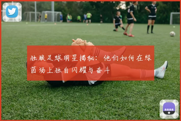 独狼足球明星揭秘：他们如何在绿茵场上独自闪耀与奋斗
