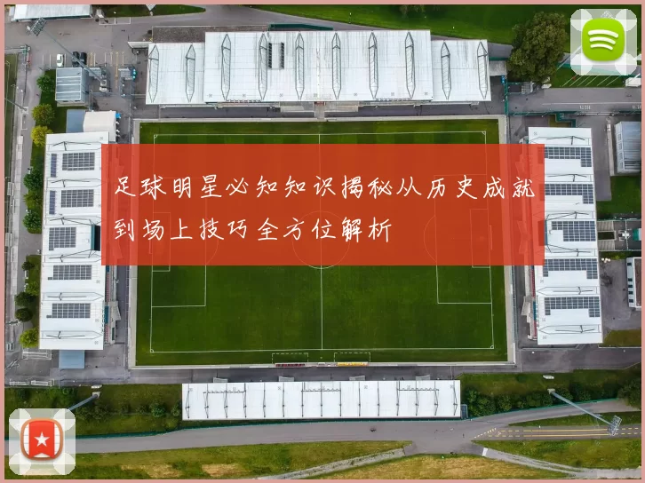足球明星必知知识揭秘从历史成就到场上技巧全方位解析