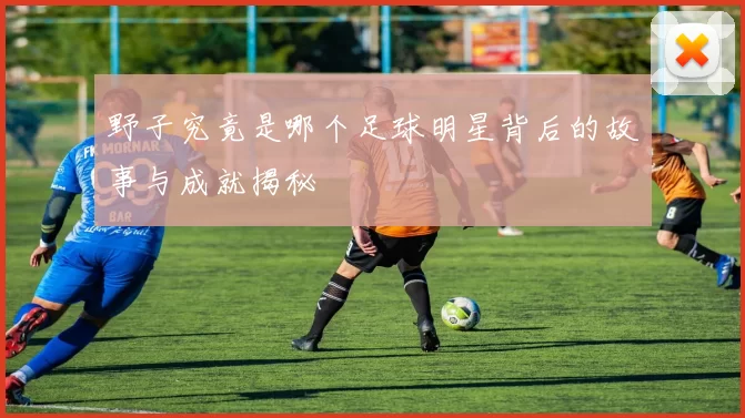 野子究竟是哪个足球明星背后的故事与成就揭秘