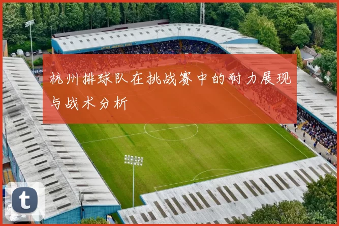 杭州排球队在挑战赛中的耐力展现与战术分析