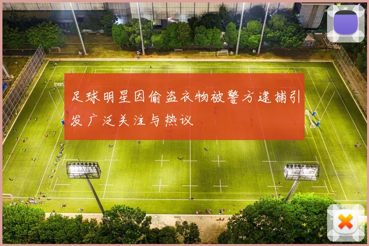 足球明星因偷盗衣物被警方逮捕引发广泛关注与热议