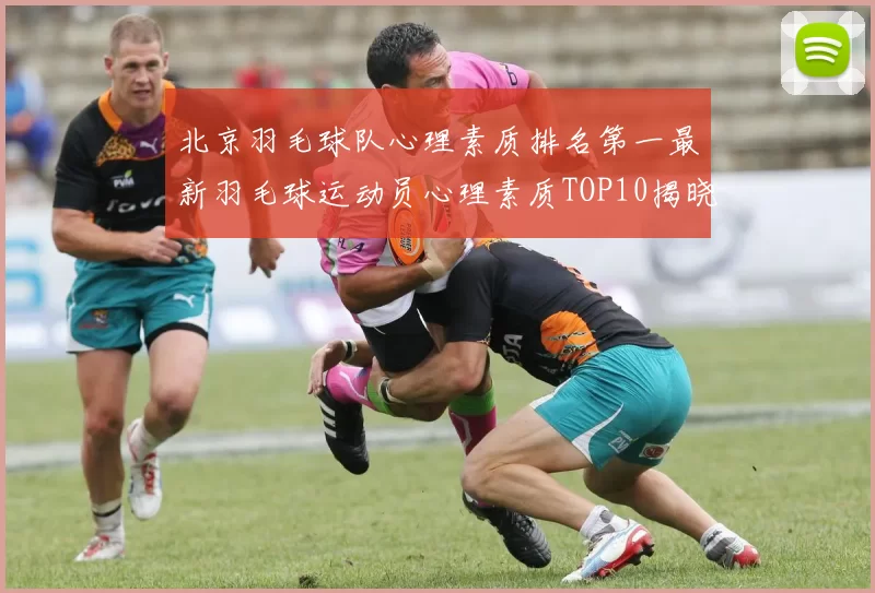 北京羽毛球队心理素质排名第一最新羽毛球运动员心理素质TOP10揭晓