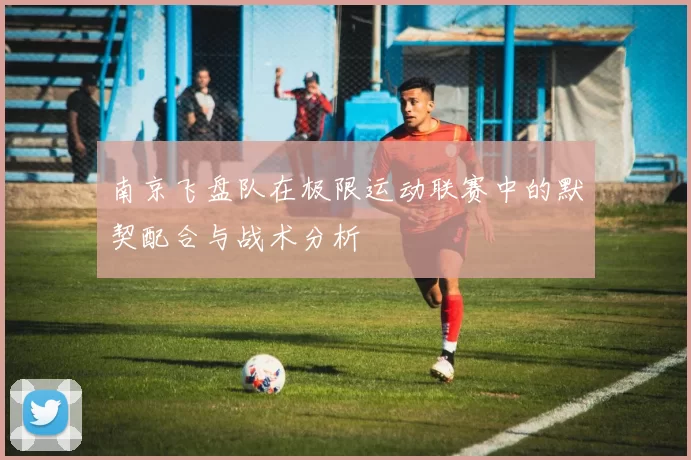南京飞盘队在极限运动联赛中的默契配合与战术分析