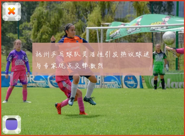 杭州乒乓球队灵活性引发热议球迷与专家观点交锋激烈