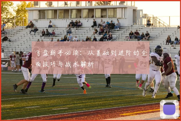 飞盘新手必读：从基础到进阶的全面技巧与战术解析