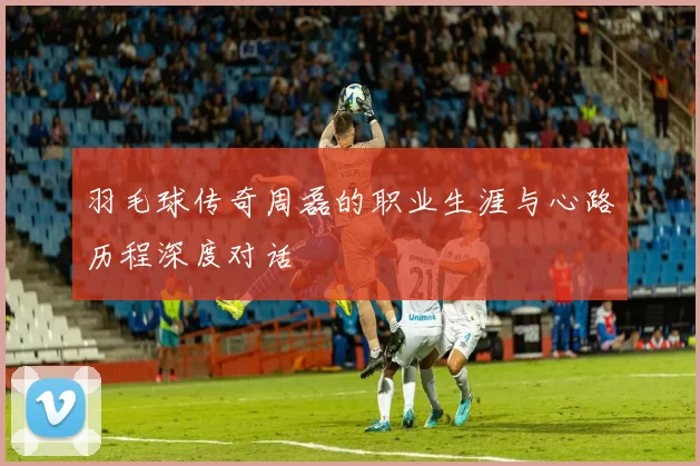 羽毛球传奇周磊的职业生涯与心路历程深度对话