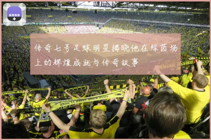 传奇七号足球明星揭晓他在绿茵场上的辉煌成就与传奇故事