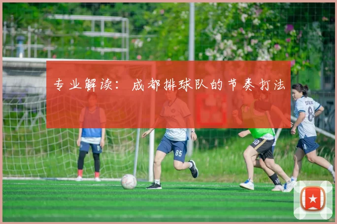 专业解读：成都排球队的节奏打法