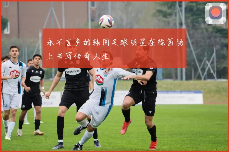 永不言弃的韩国足球明星在绿茵场上书写传奇人生