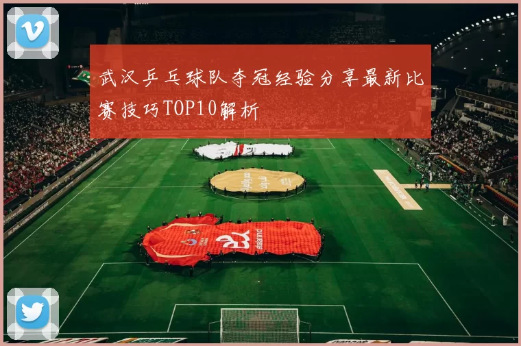 武汉乒乓球队夺冠经验分享最新比赛技巧TOP10解析