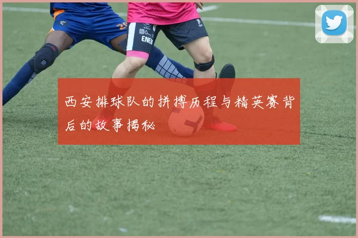 西安排球队的拼搏历程与精英赛背后的故事揭秘