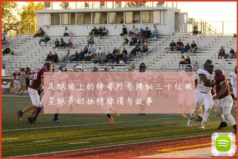 足球场上的传奇外号揭秘三十位明星球员的独特称谓与故事