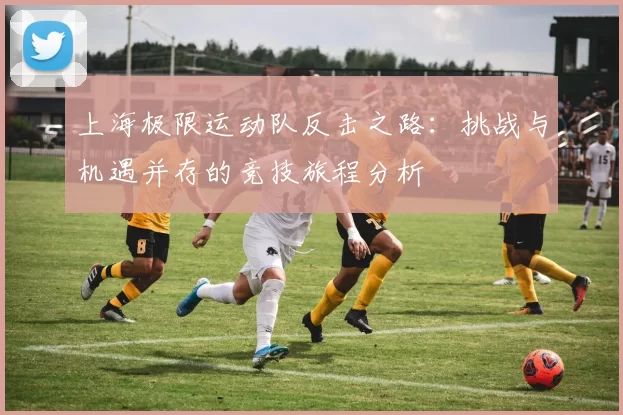 上海极限运动队反击之路：挑战与机遇并存的竞技旅程分析