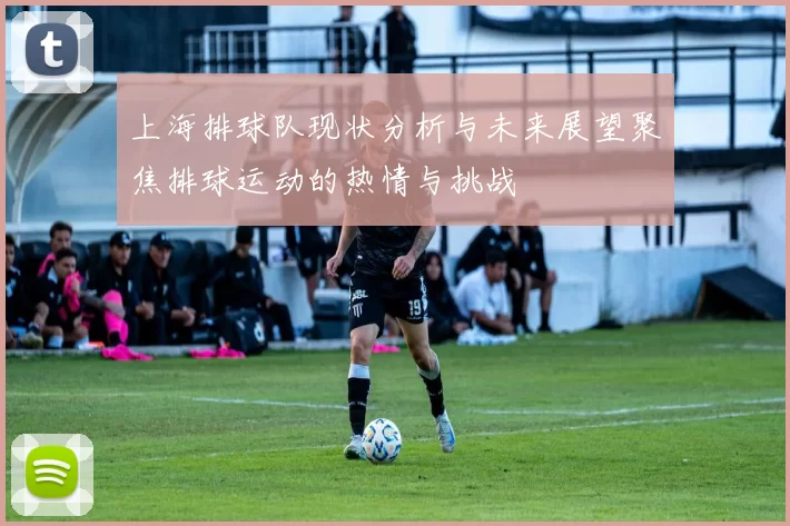上海排球队现状分析与未来展望聚焦排球运动的热情与挑战