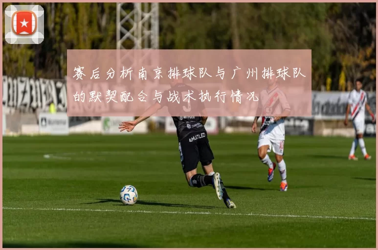 赛后分析南京排球队与广州排球队的默契配合与战术执行情况