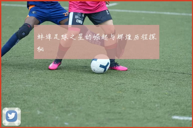 蚌埠足球之星的崛起与辉煌历程探秘