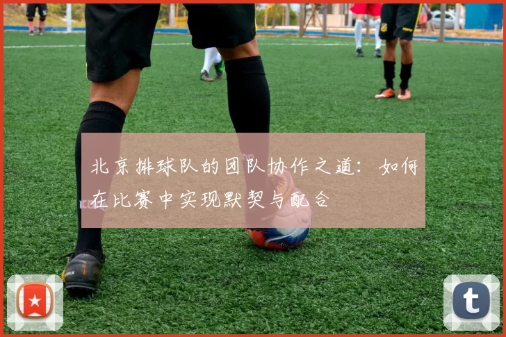北京排球队的团队协作之道：如何在比赛中实现默契与配合
