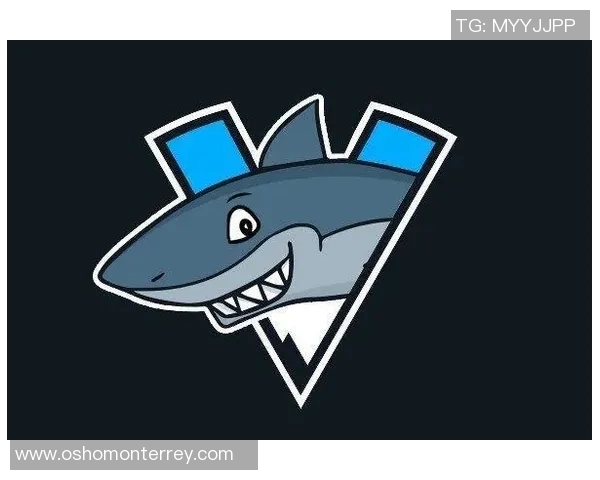 CSGO战术解析：WE战队快攻体系的核心策略与执行细节