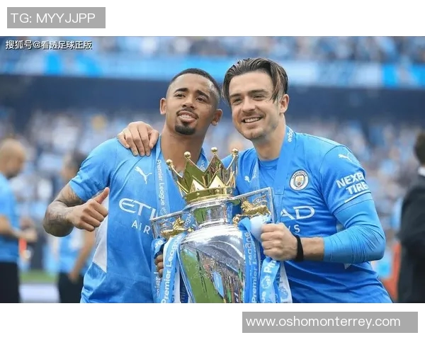 韩国籍球员效力意甲球队的完整数据统计