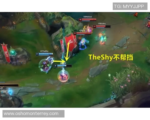 V5在精英赛中的节奏掌控与表现分析全景回顾