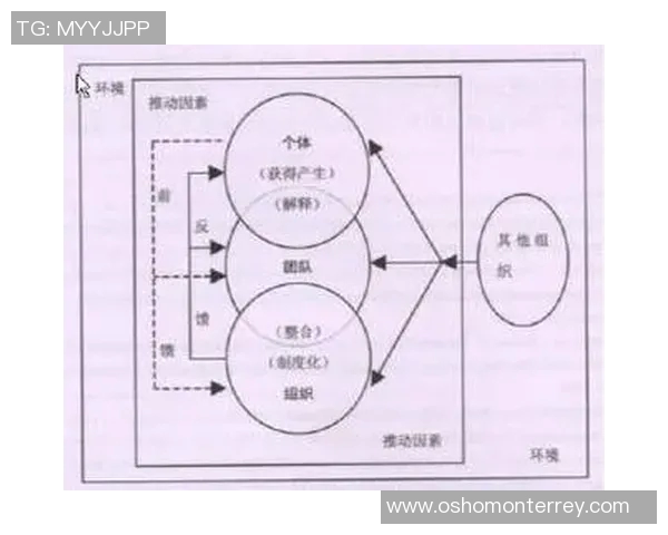 数据分析探讨：WE意识在社会互动中的表现与影响研究