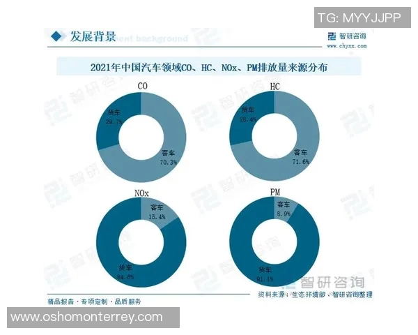 武汉滑板队的管理模式与发展现状深度解析