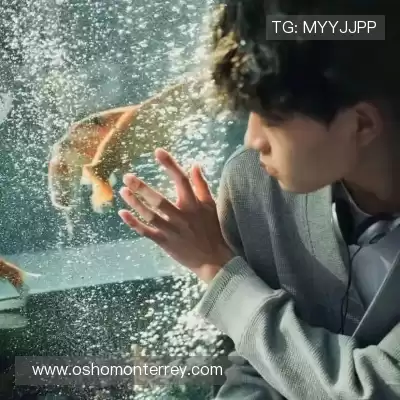 戴融路