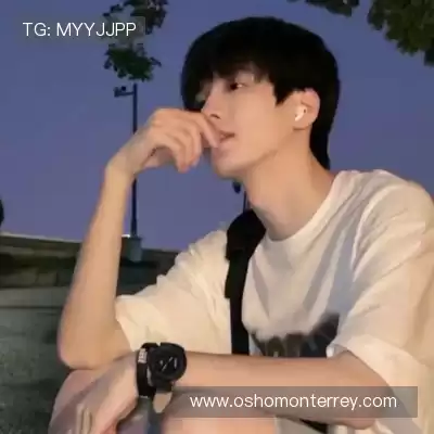 韶靓影